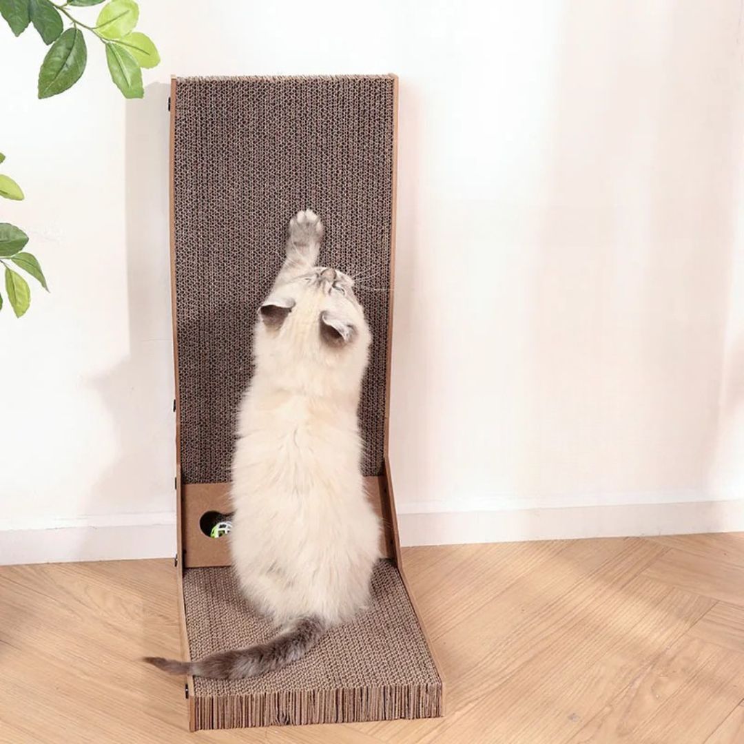 griffoir-chat-etirement