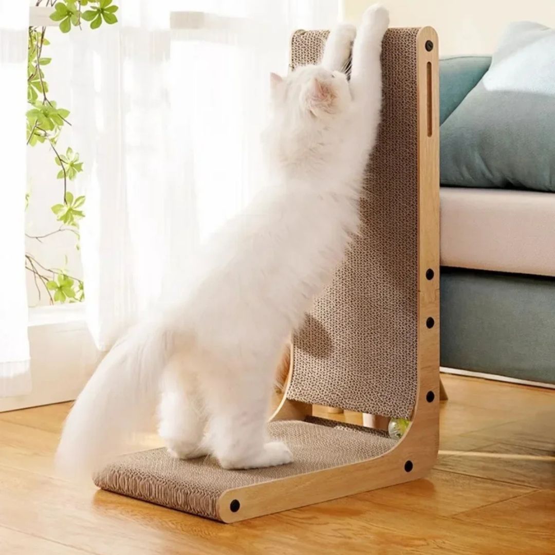 griffoir-chat-etirement