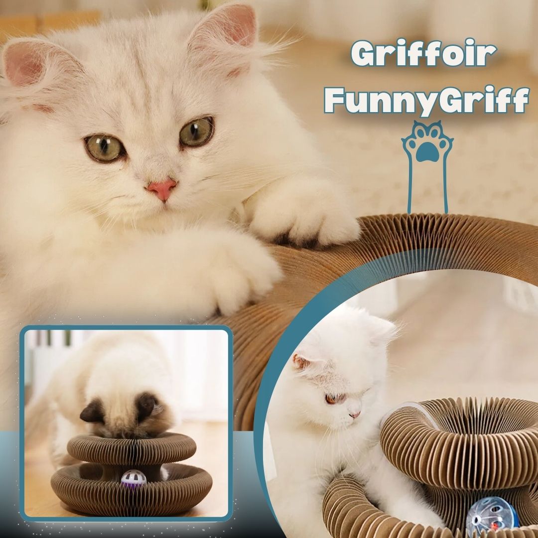 Griffoir chat | FunnyGriff™