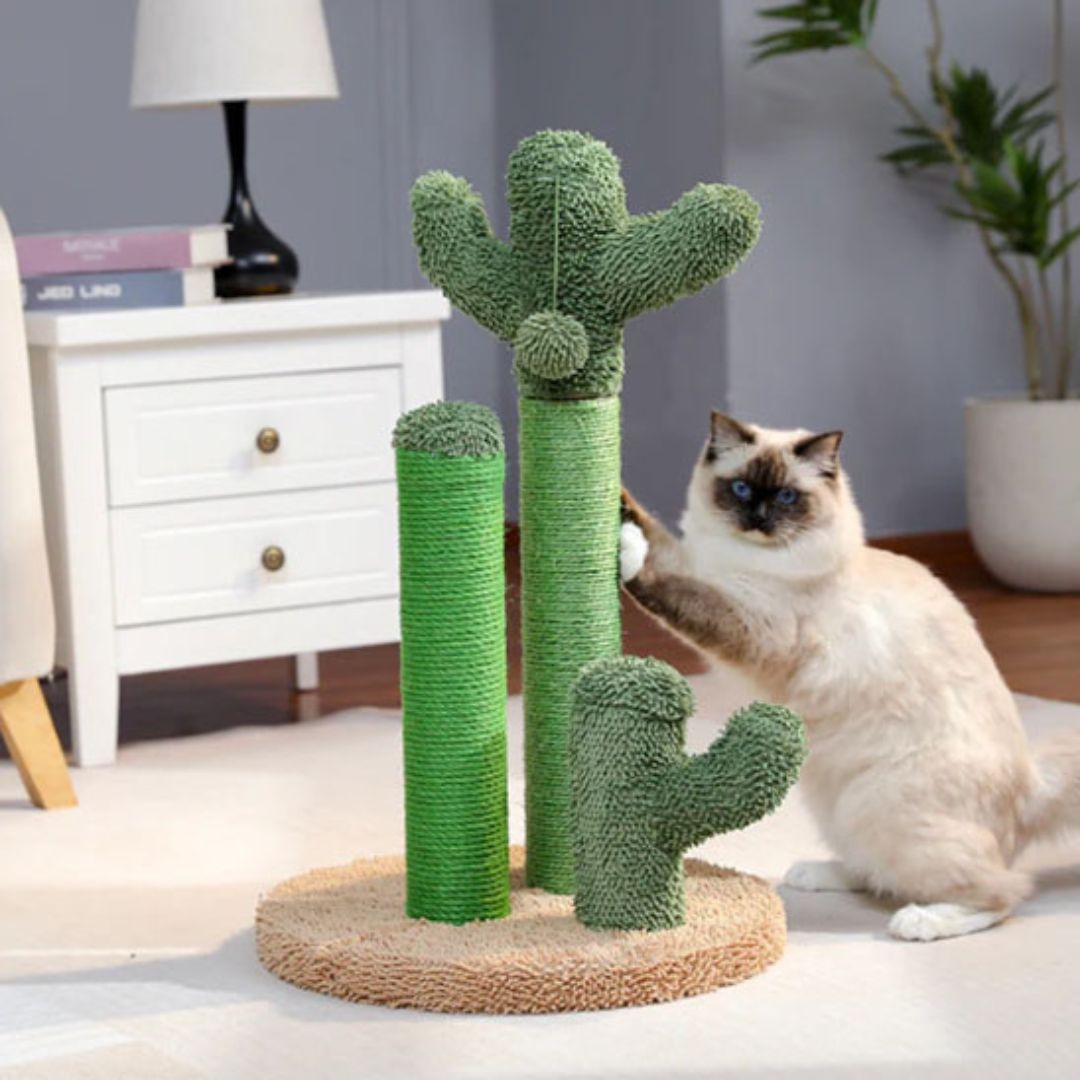griffoir-chat-grand