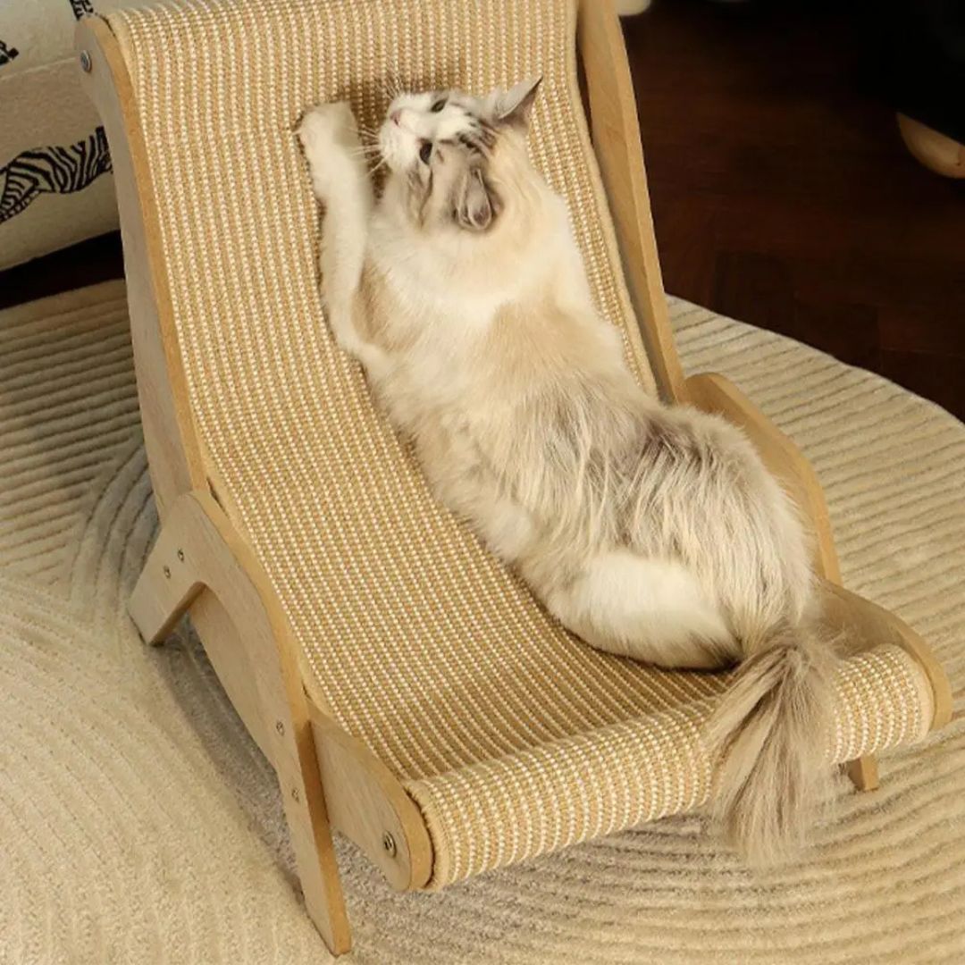 griffoir-chat-griffade