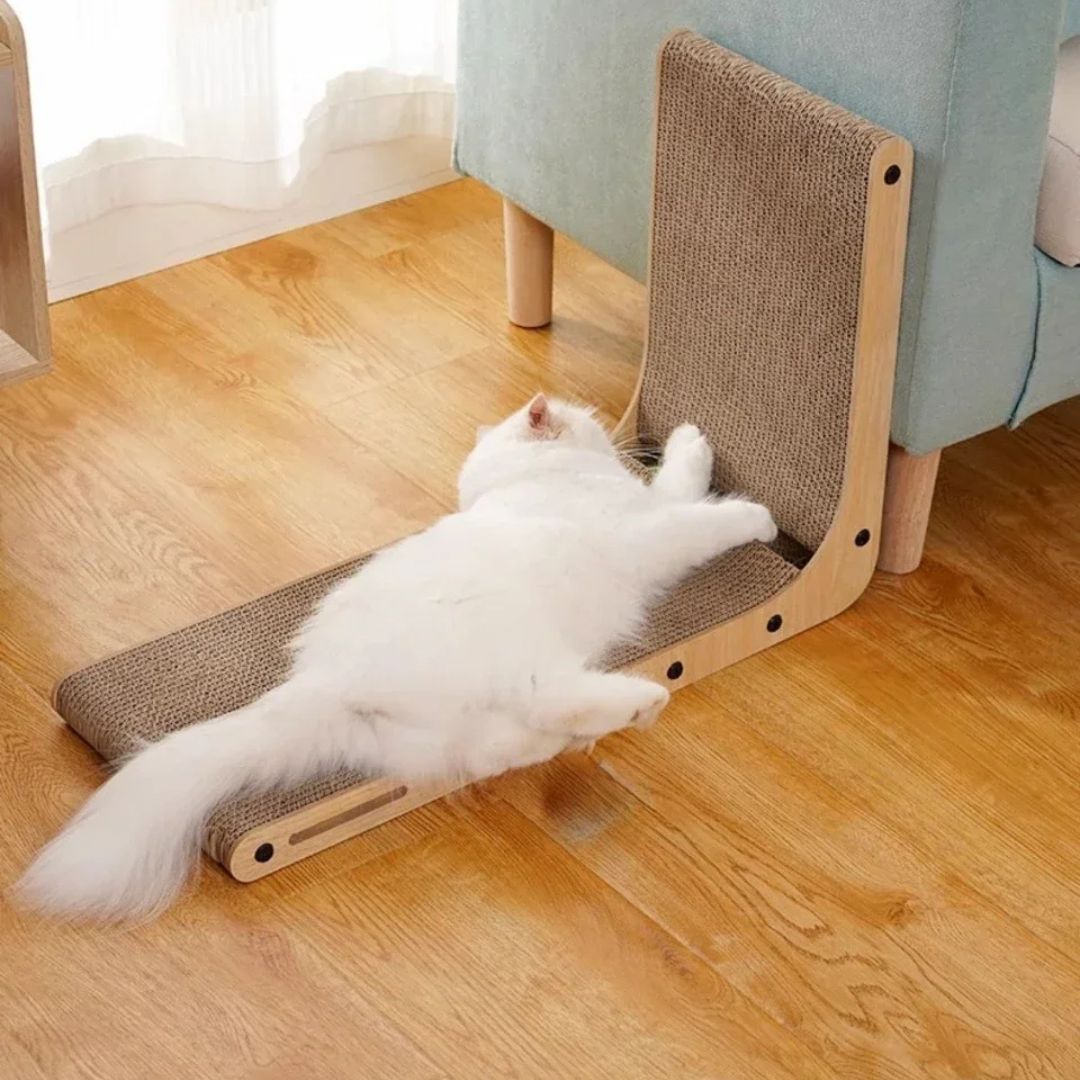 griffoir-chat-horizontale