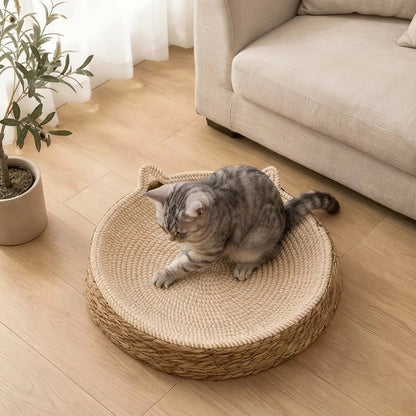 Griffoir Chat jeu