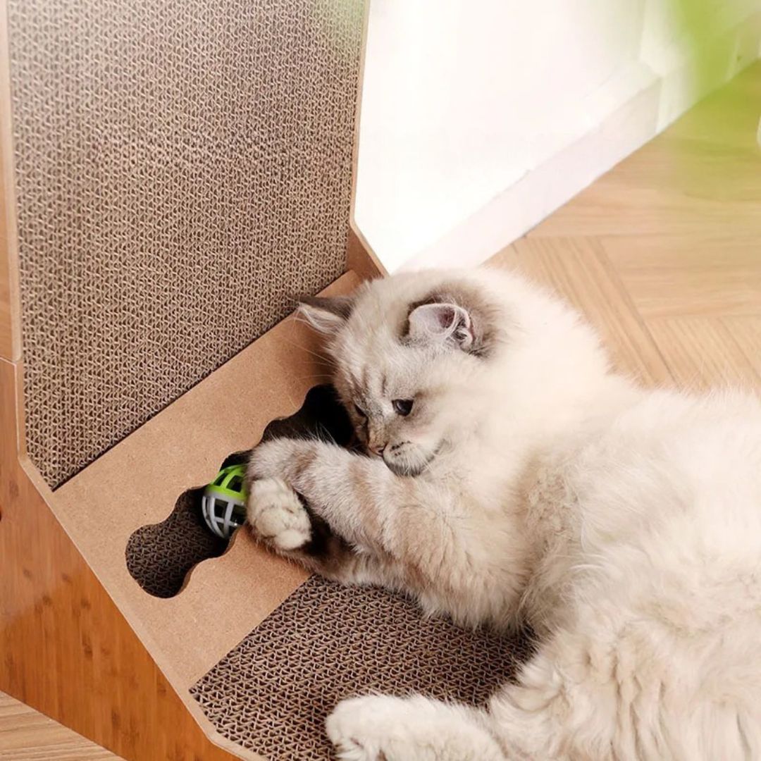 griffoir-chat-jeu