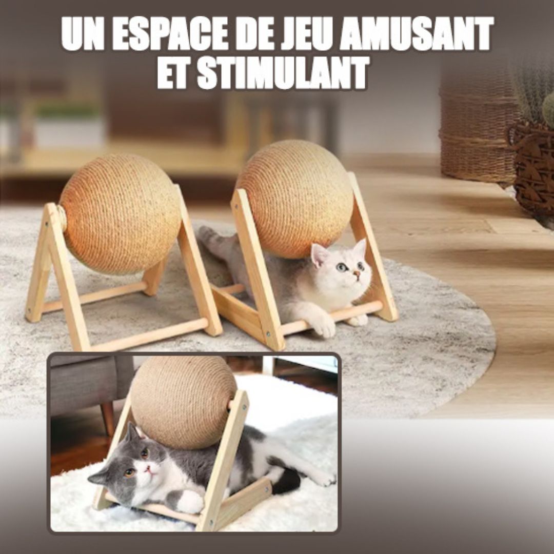 griffoir-chat-jeu_