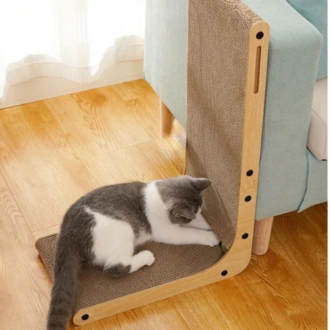 griffoir-chat-jeux