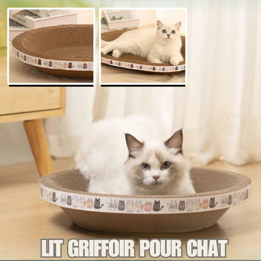 griffoir-chat-lit