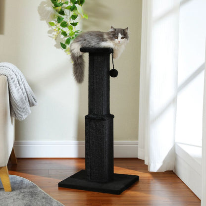 griffoir-chat-noir