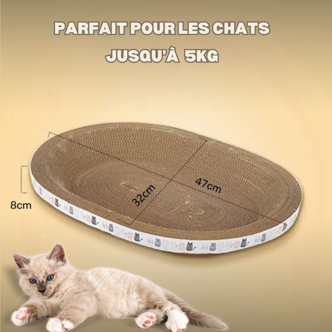 griffoir-chat-ovale