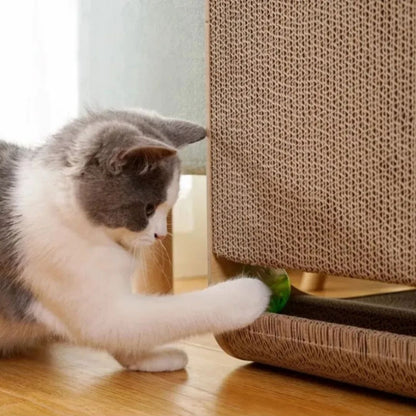 griffoir-chat-patte