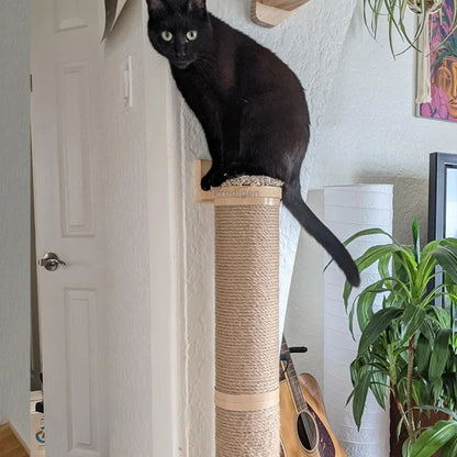 griffoir-chat-percher