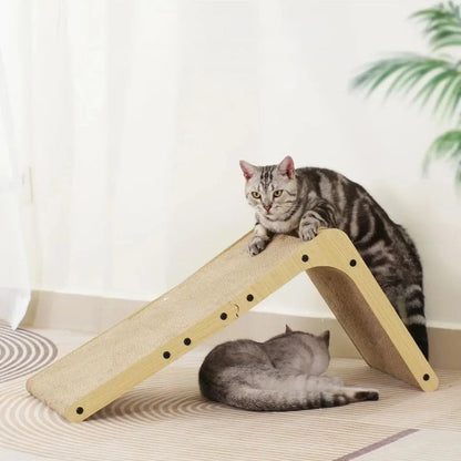 griffoir-chat-position