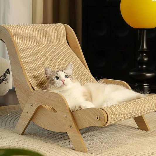 griffoir-chat-regard