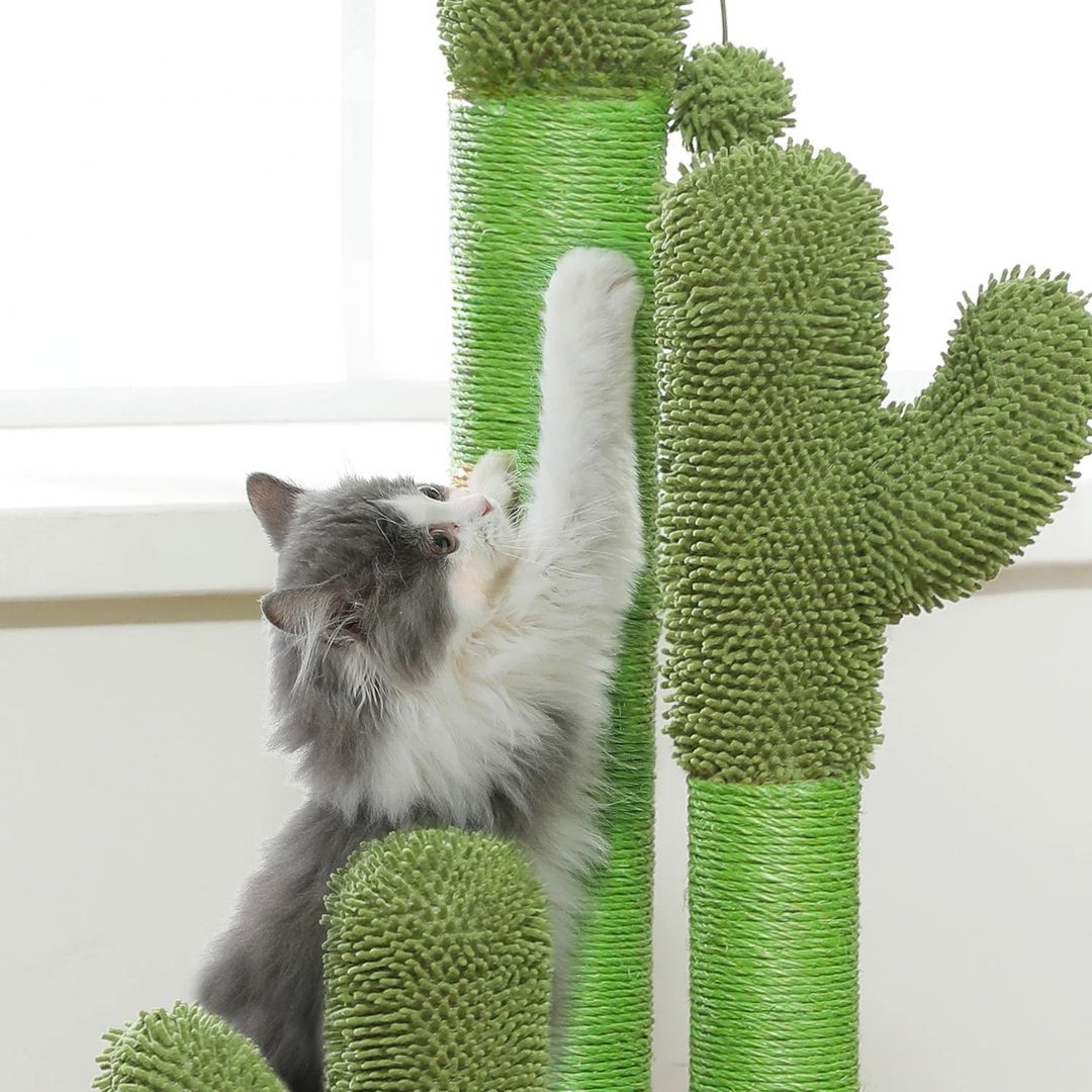 griffoir-chat-sisal
