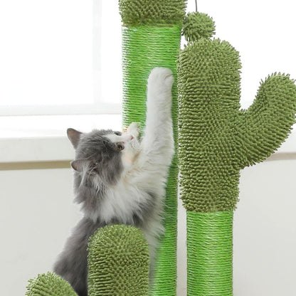 griffoir-chat-sisal