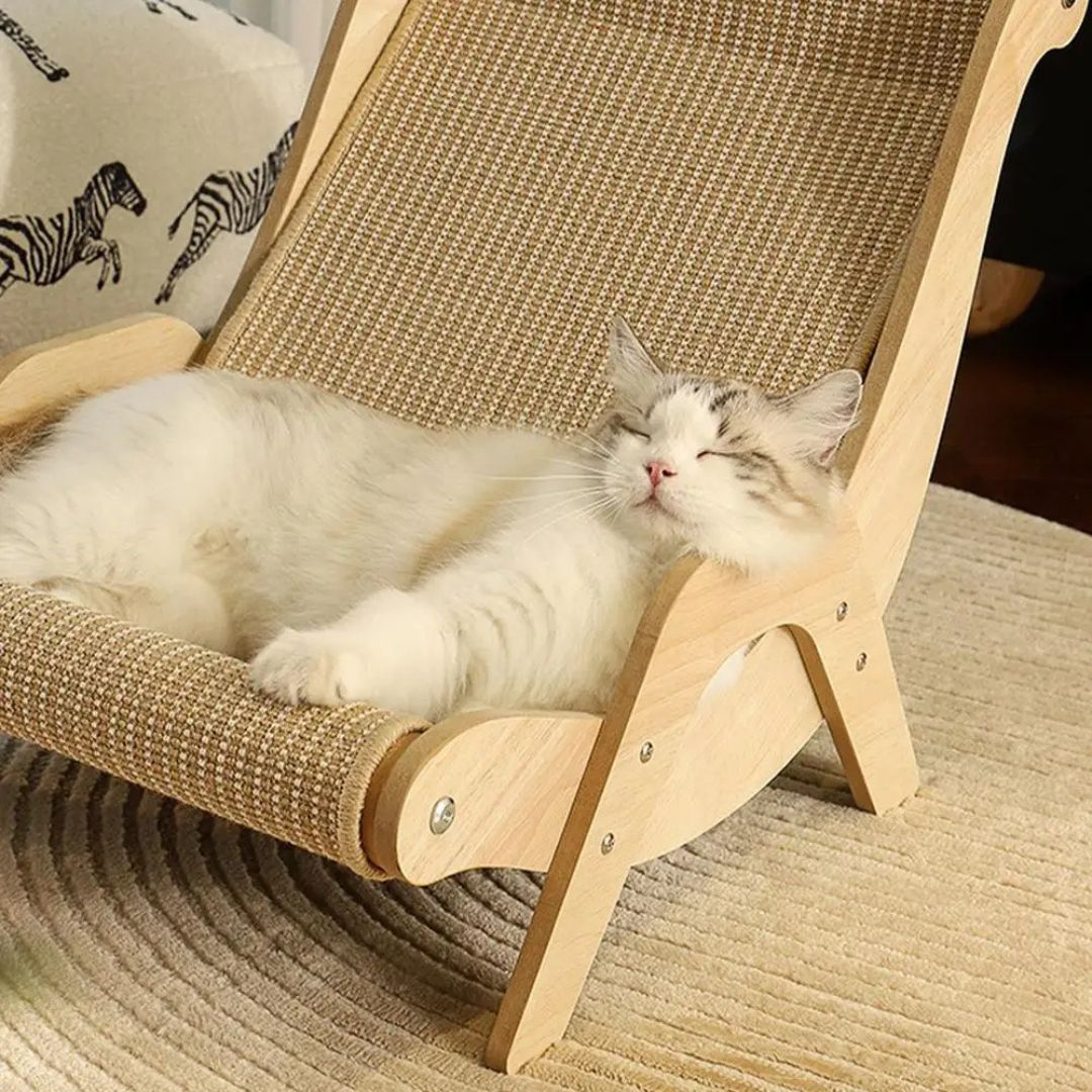 griffoir-chat-sommeil-profond