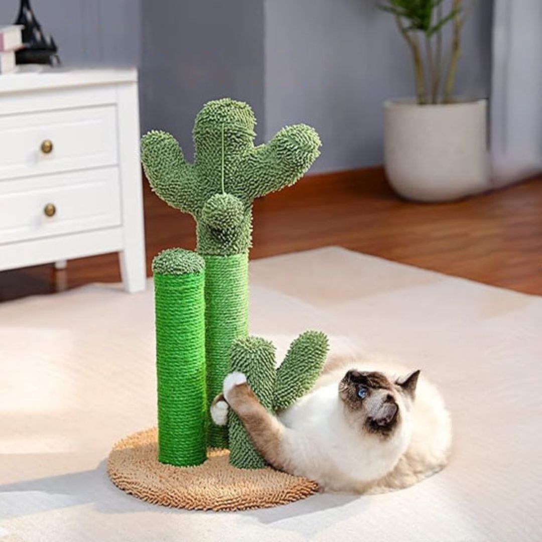 griffoir-chat-style