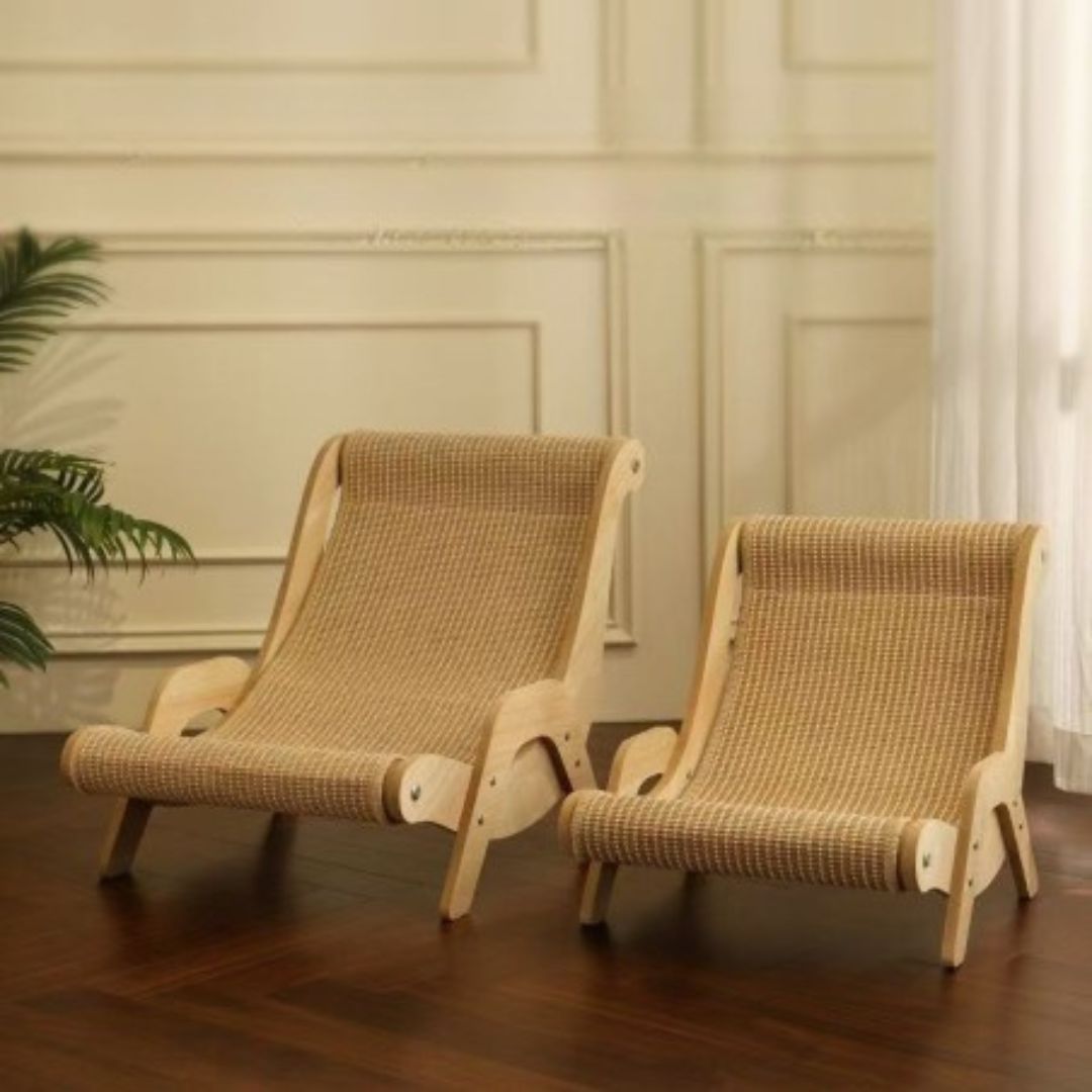 griffoir-chat-taille