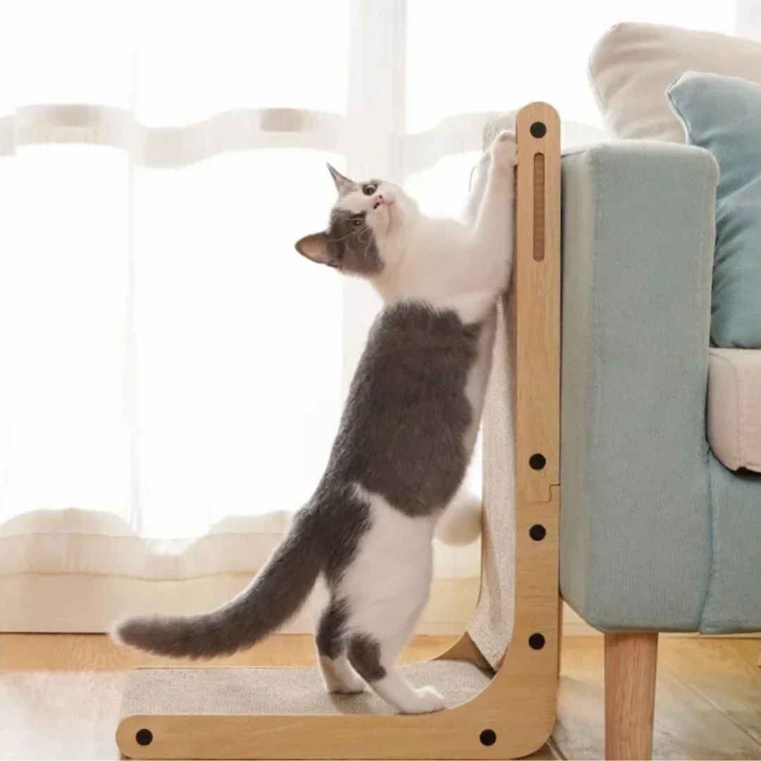 griffoir-chat-vertical