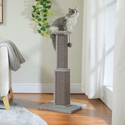 griffoir-chat-vue