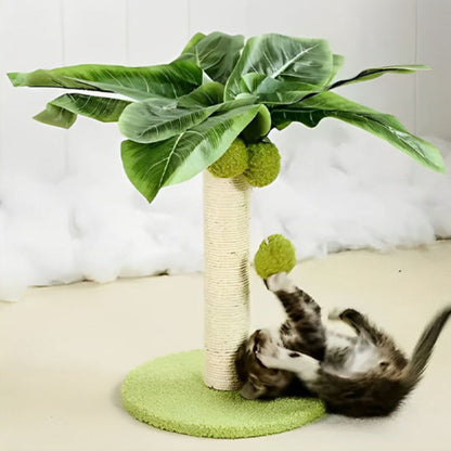 griffoir-pour-chat-jeu