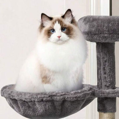 hamac-pour-chat-assis