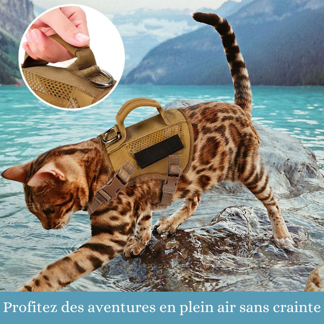 harnais-chat-aventure