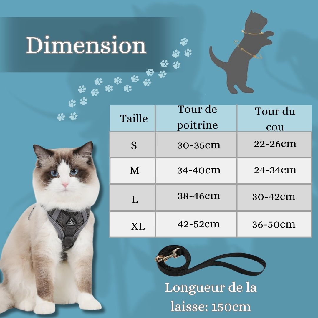 harnais-chat-dimension