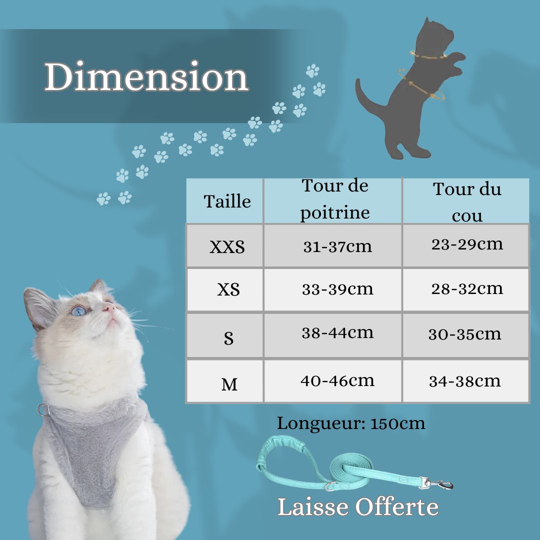 harnais-chat-dimension