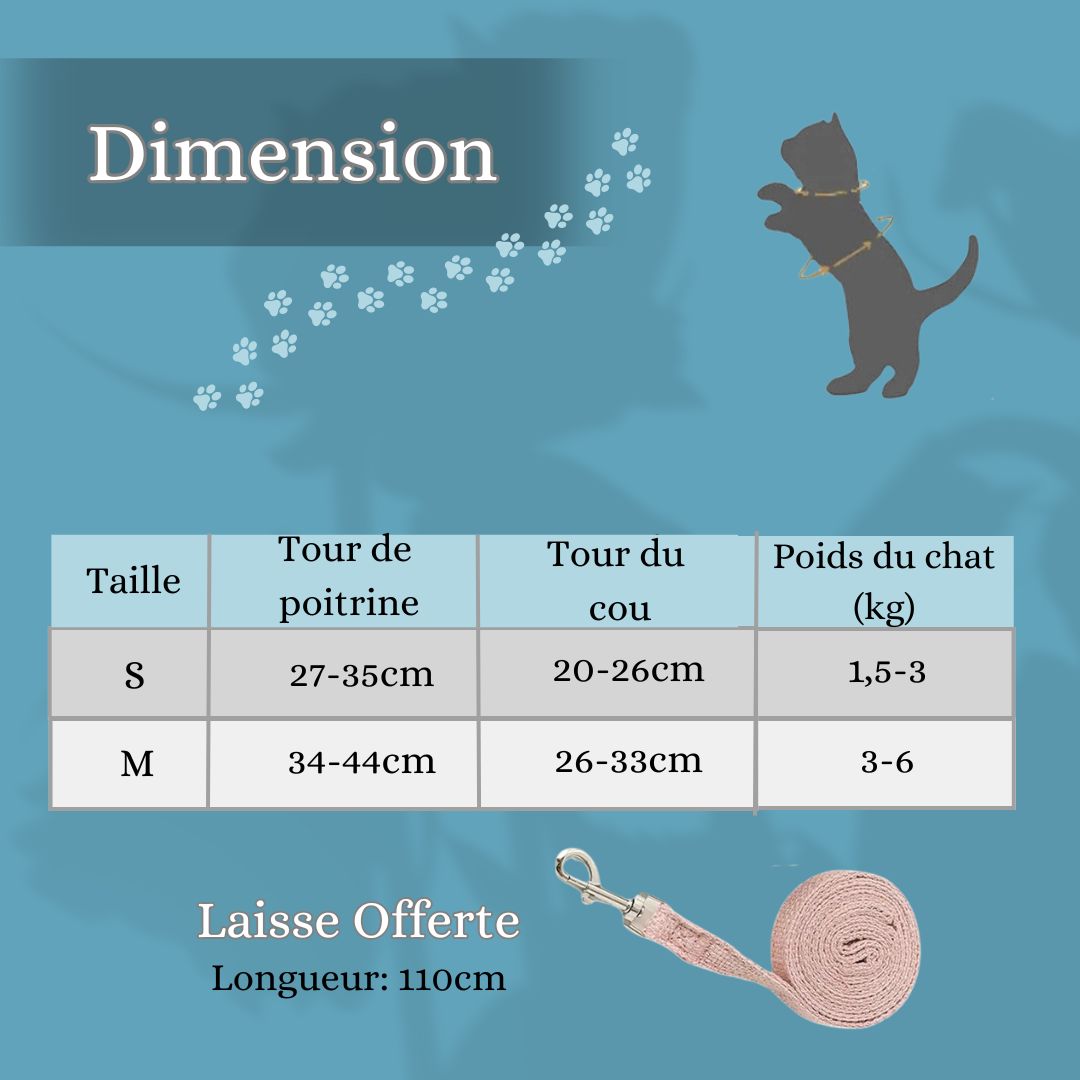 harnais-chat-dimension