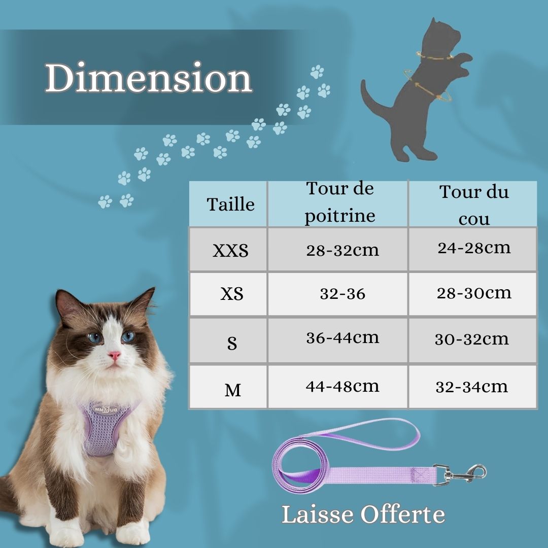 harnais-chat-dimension