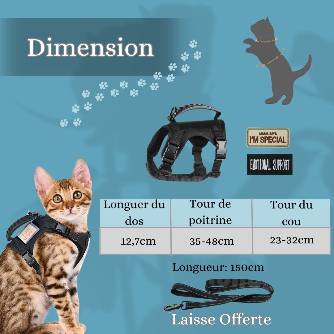 harnais-chat-dimension