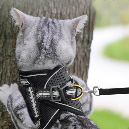 harnais-chat-dos