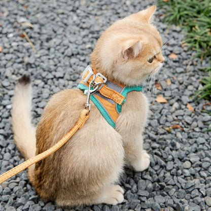 harnais-pour-chat-attache