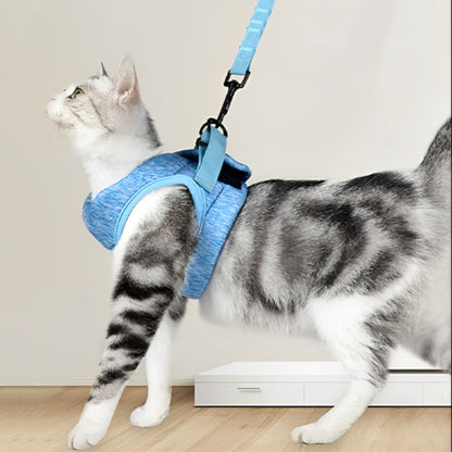 harnais-pour-chat-bleu