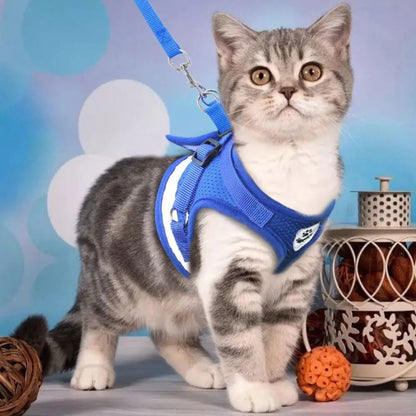 harnais-pour-chat-bleu