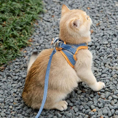harnais-pour-chat-bleu