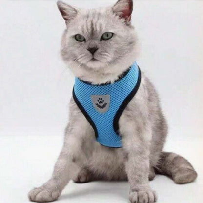 harnais-pour-chat-bleu