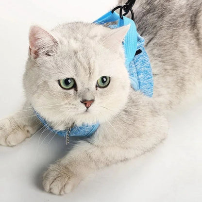 harnais-pour-chat-confort