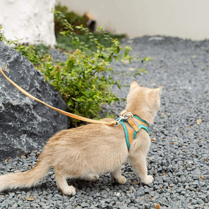 harnais-pour-chat-curiosite
