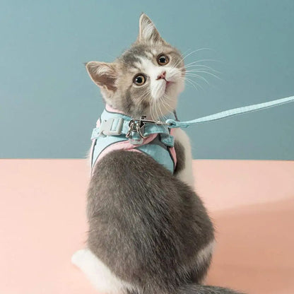 harnais-pour-chat-dos