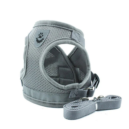 harnais-pour-chat-gris