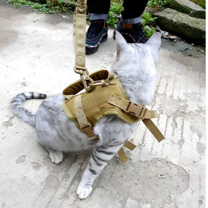 harnais-pour-chat-kaki