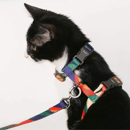 harnais-pour-chat-multicolore