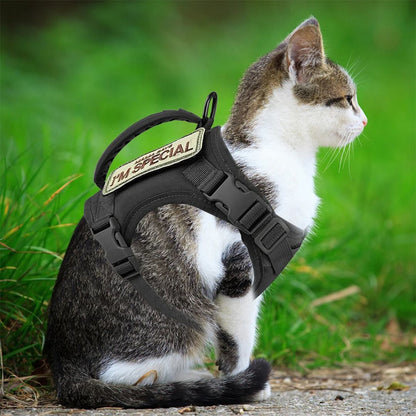 harnais-pour-chat-noir