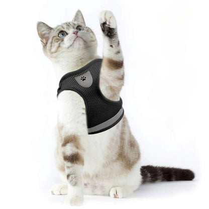 harnais-pour-chat-noir