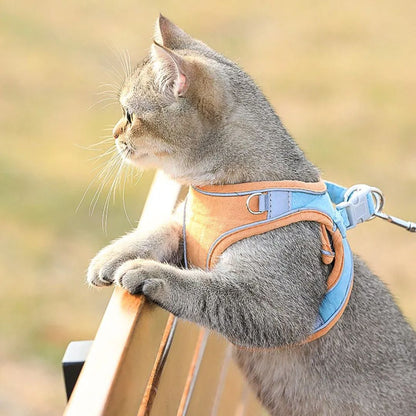 harnais-pour-chat-orange