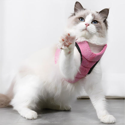 harnais-pour-chat-patte