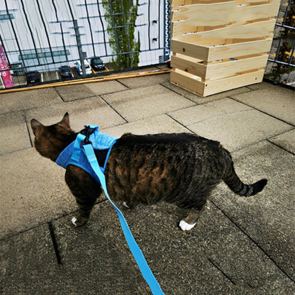 harnais-pour-chat-promenade