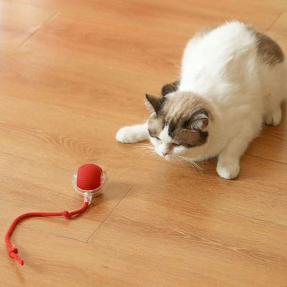 jouet-chat-interactif-chasse